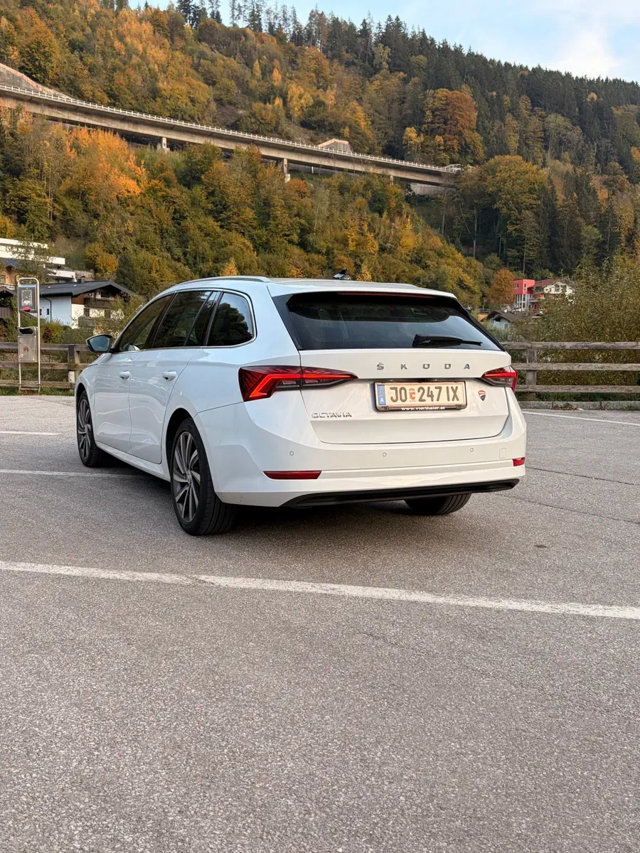Skoda Octavia 2020 photo 2