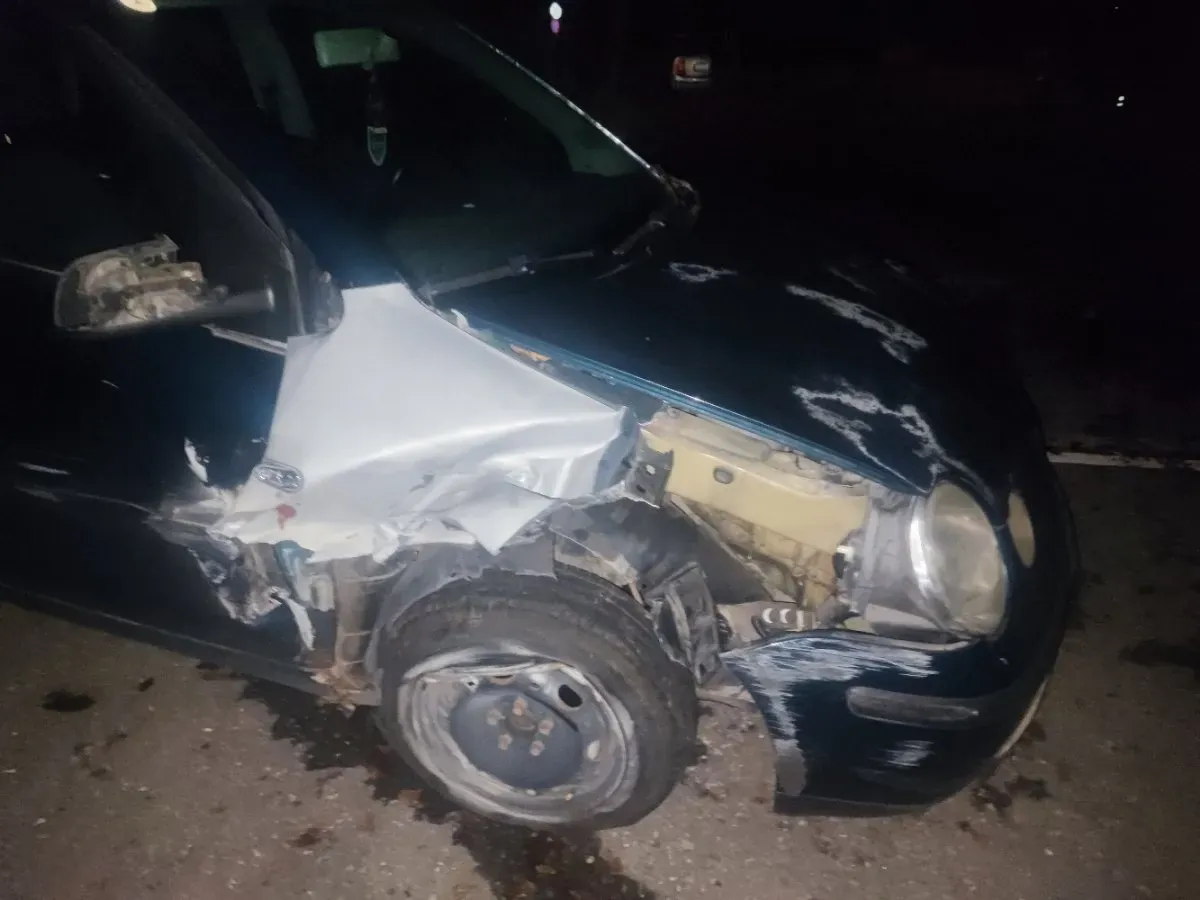 Volkswagen Polo 2004 photo 3