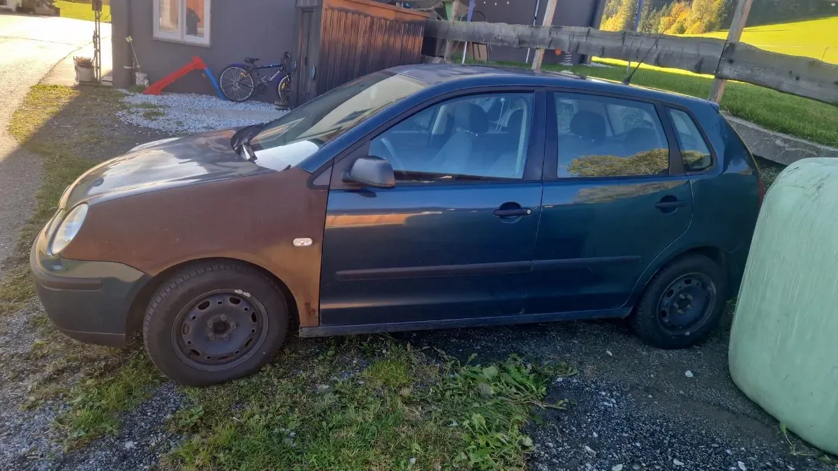 Volkswagen Polo 2004 photo 2