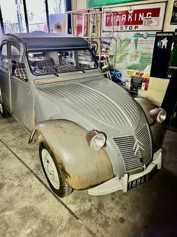 Citroen 2Pk Geit
