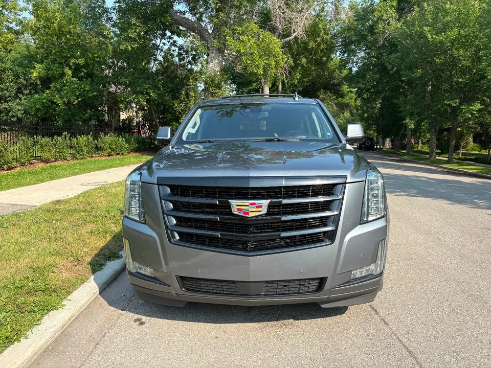 Cadillac Escalade Esv 2020 photo 2