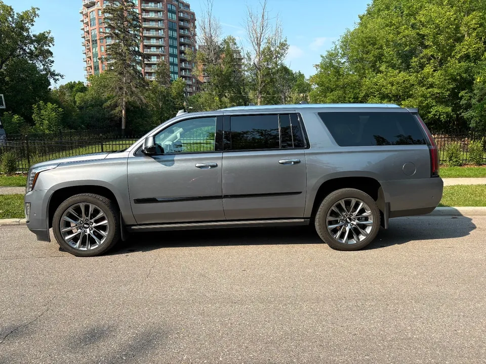Cadillac Escalade Esv 2020 photo 3