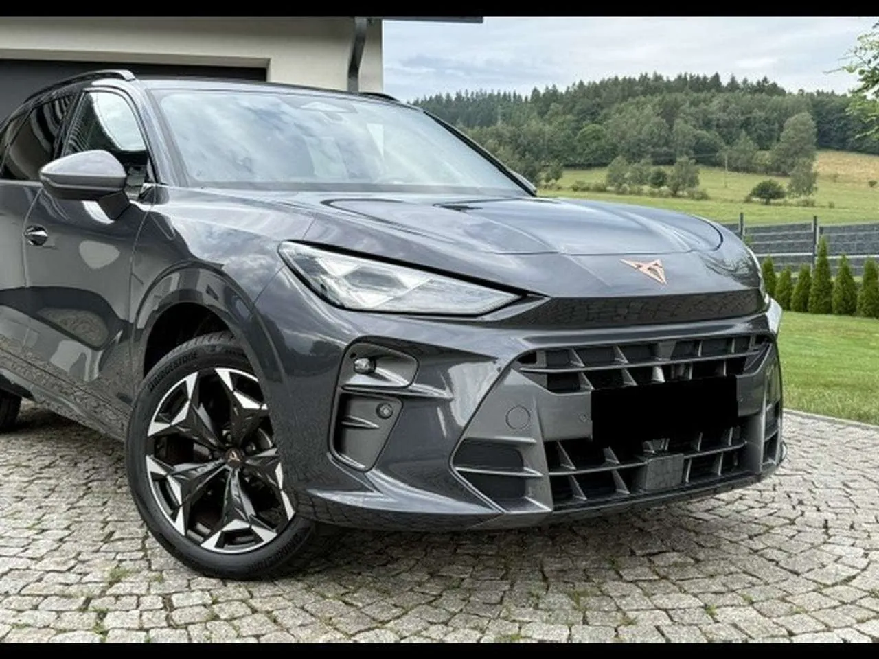 Cupra Terramar 2025 photo 3