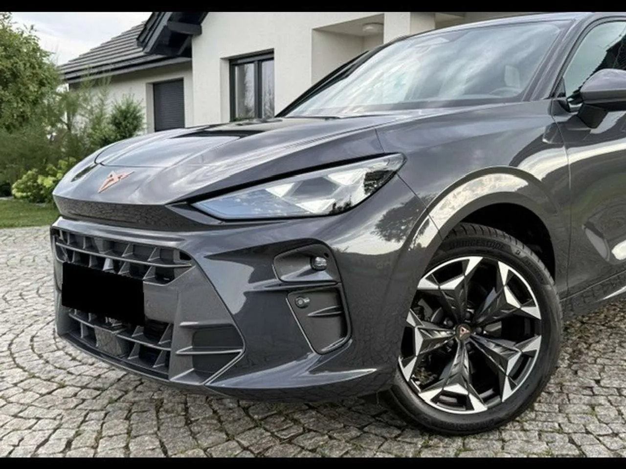Cupra Terramar 2025 photo 4