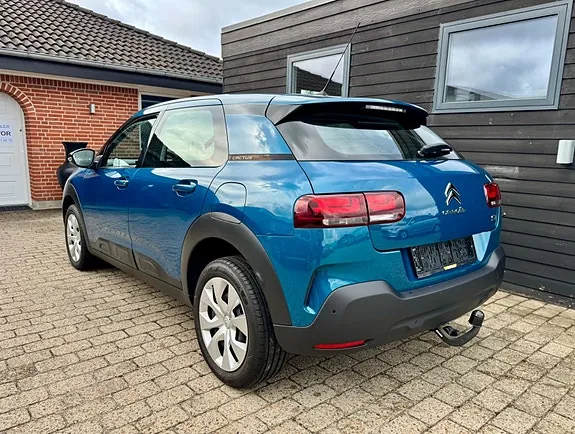 Citroen C4 Cactus 2019 photo 2