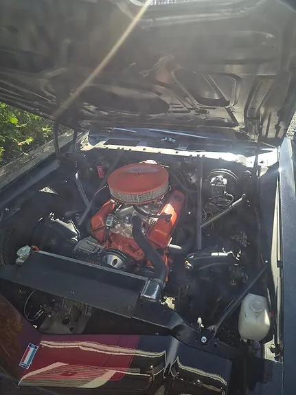 Chevrolet Camaro 1977 photo 3