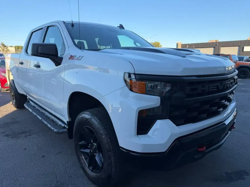 Chevrolet Silverado 1500 2022 photo 2