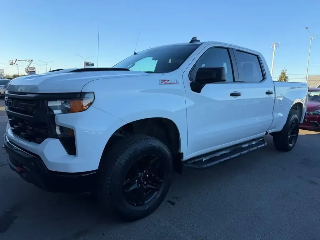 Chevrolet Silverado 1500 2022 photo 5