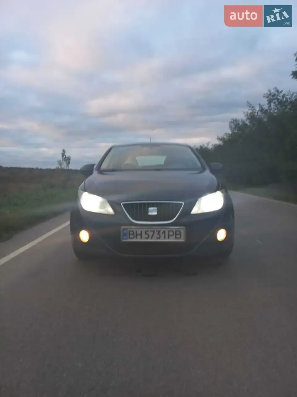 Seat Ibiza 2011 photo 2