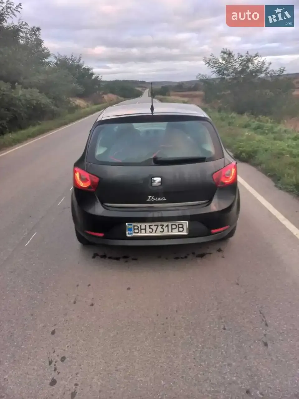 Seat Ibiza 2011 photo 5