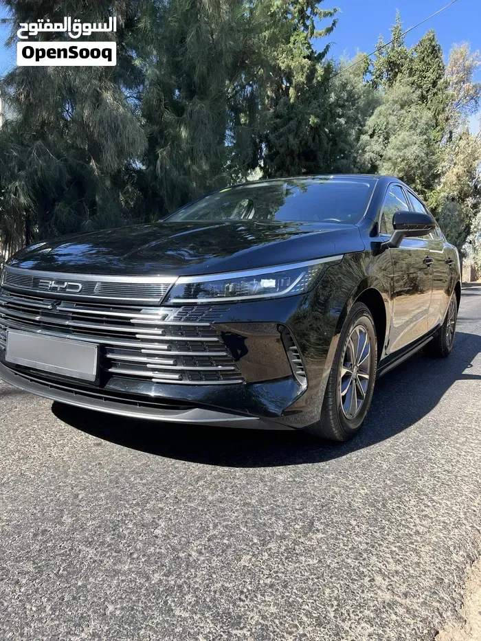 BYD Destroyer 05