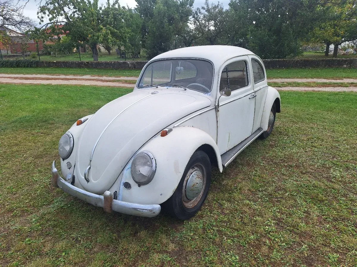 Volkswagen Käfer