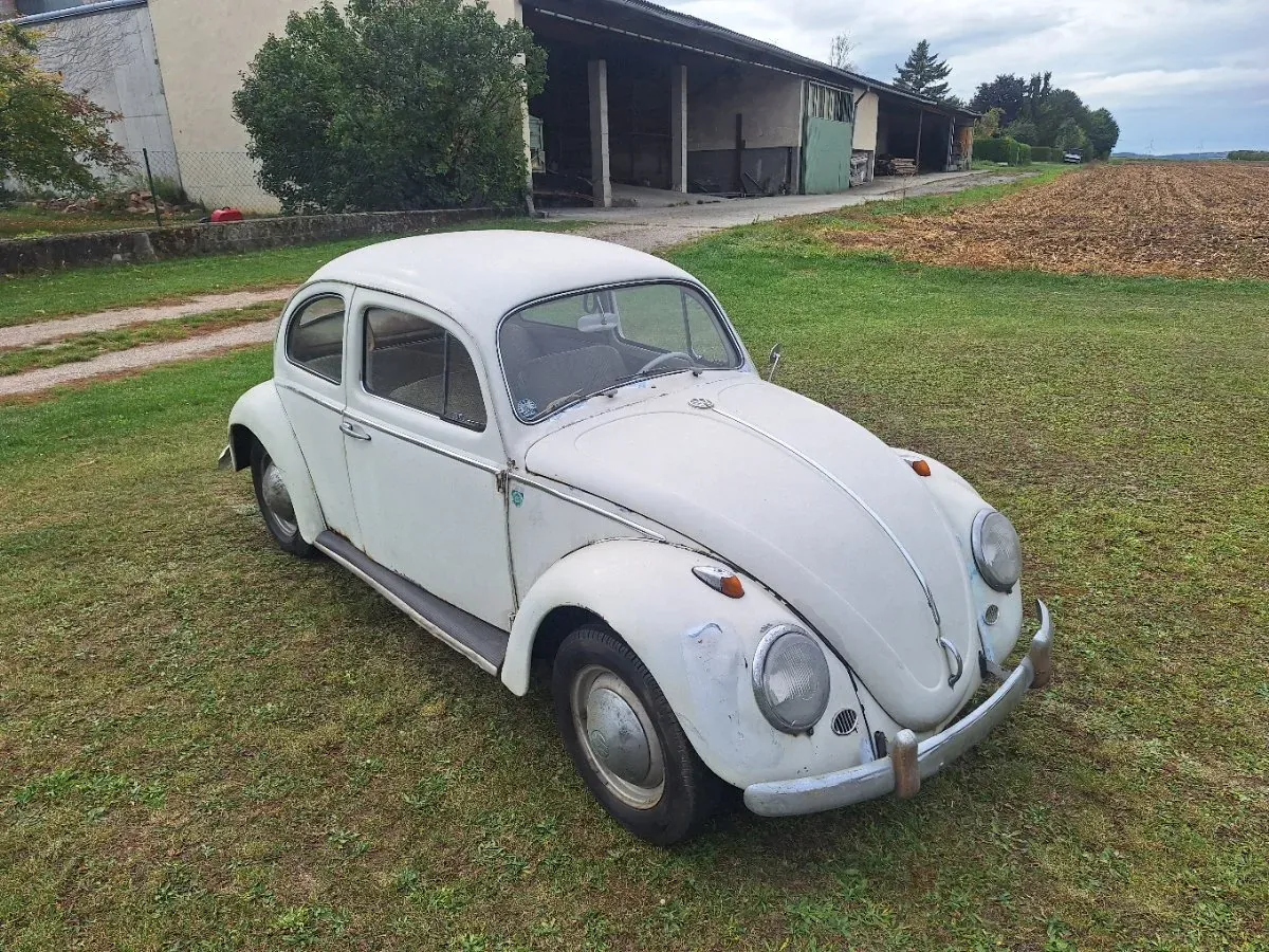 Volkswagen Käfer 1963 photo 3
