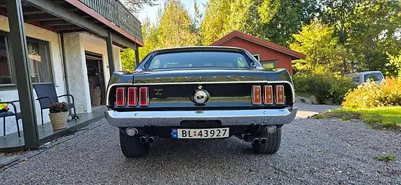Ford Mustang 1969 photo 3