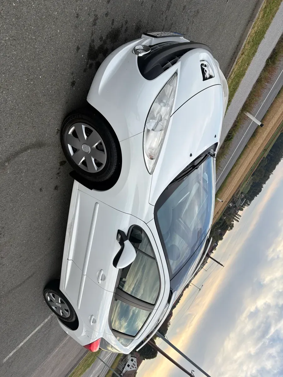 Peugeot 207 2009 photo 2