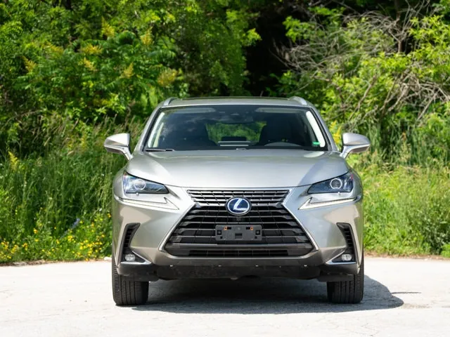 Lexus Nx 300H 2021 photo 5