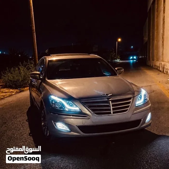 Genesis Sonata 2010 photo 5