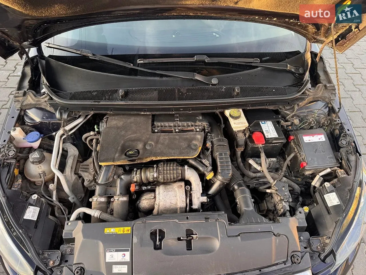 Peugeot 308 2015 photo 5