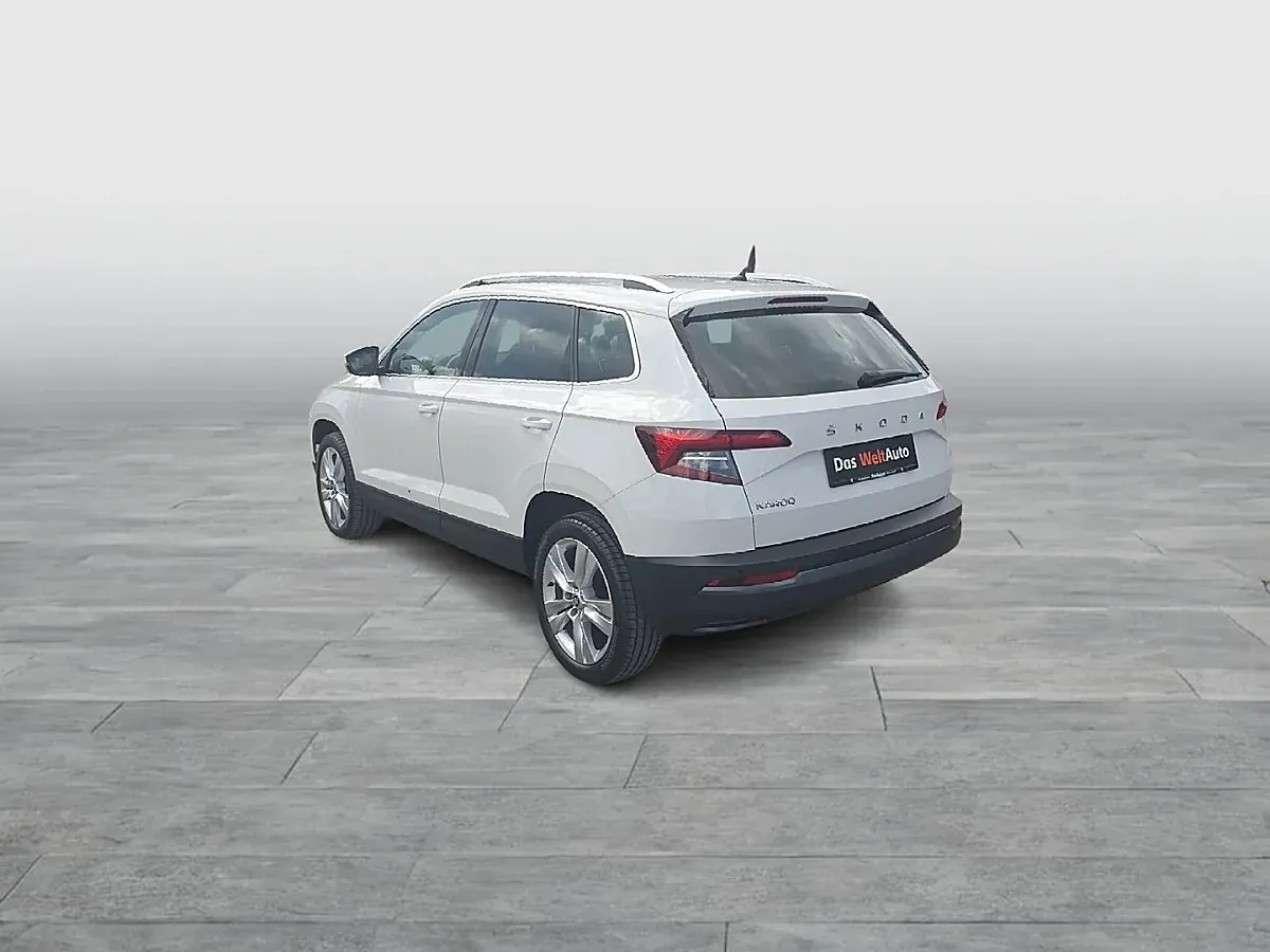 Skoda Karoq 2020 photo 3