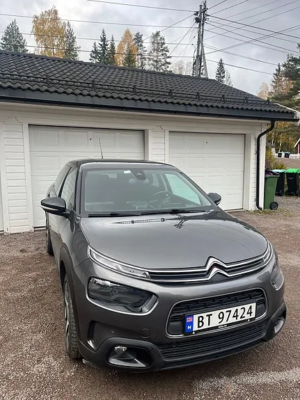 Citroen C4 Cactus 2019 photo 2