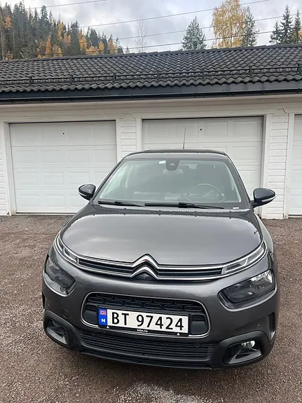 Citroen C4 Cactus 2019 photo 3