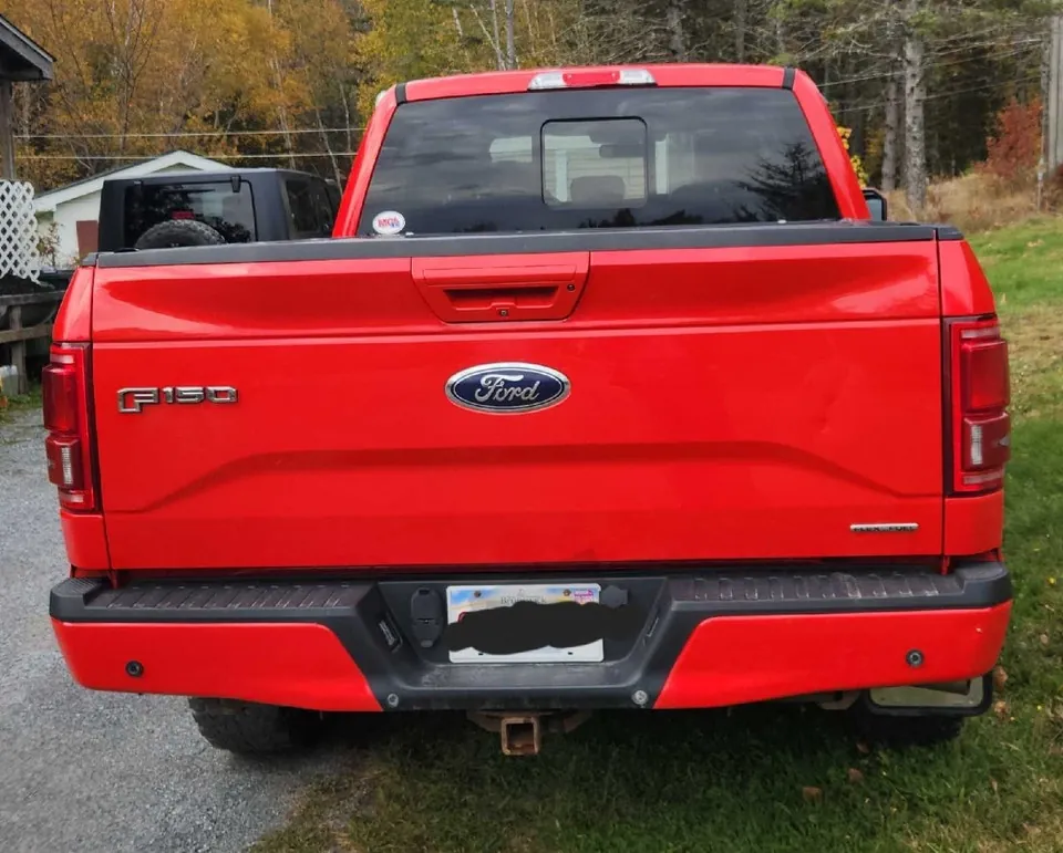 Ford F-150 2015 photo 4