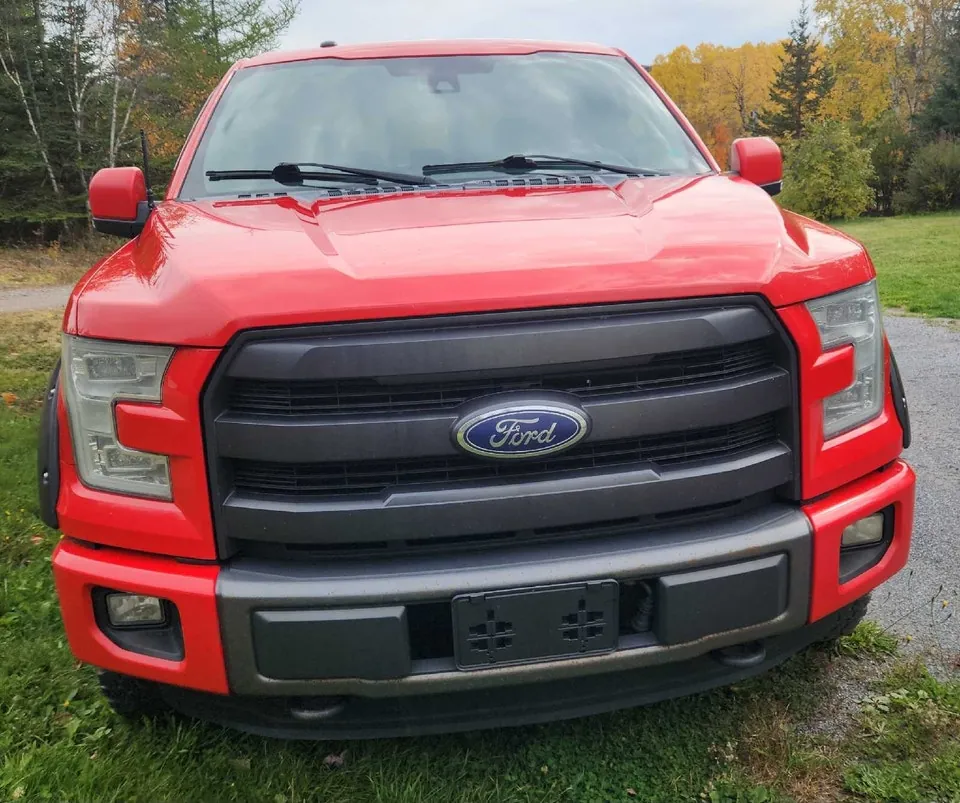Ford F-150 2015 photo 2