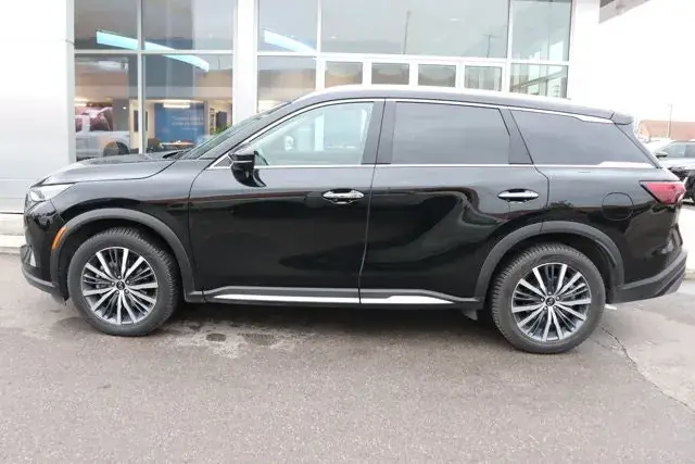 Infiniti Qx60 2023 photo 3