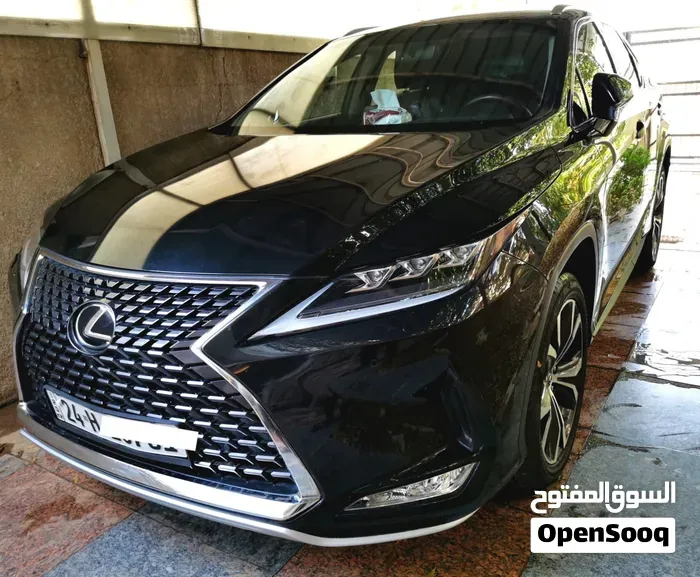 Lexus Rx 350 2020 photo 2
