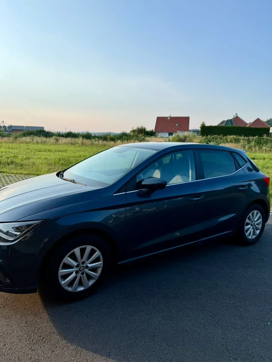 Seat Ibiza 2019 photo 3