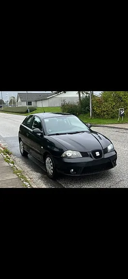 Seat Ibiza 2007 photo 3