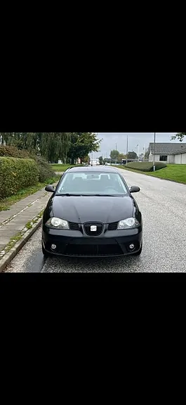 Seat Ibiza 2007 photo 2