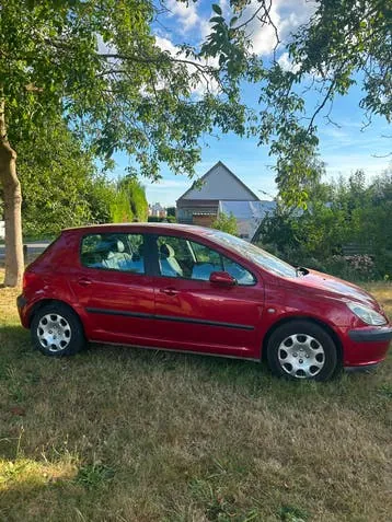 Peugeot 307