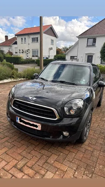 Mini Paceman