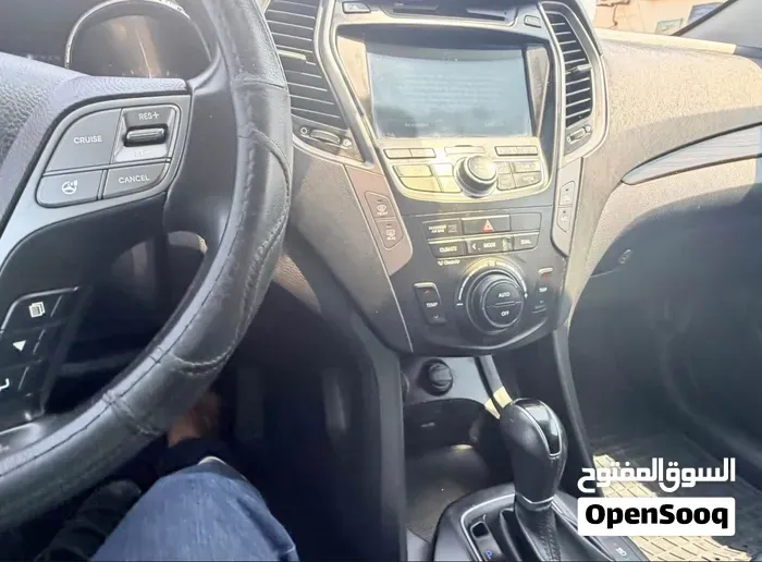 Hyundai Santa Fe 2014 photo 4