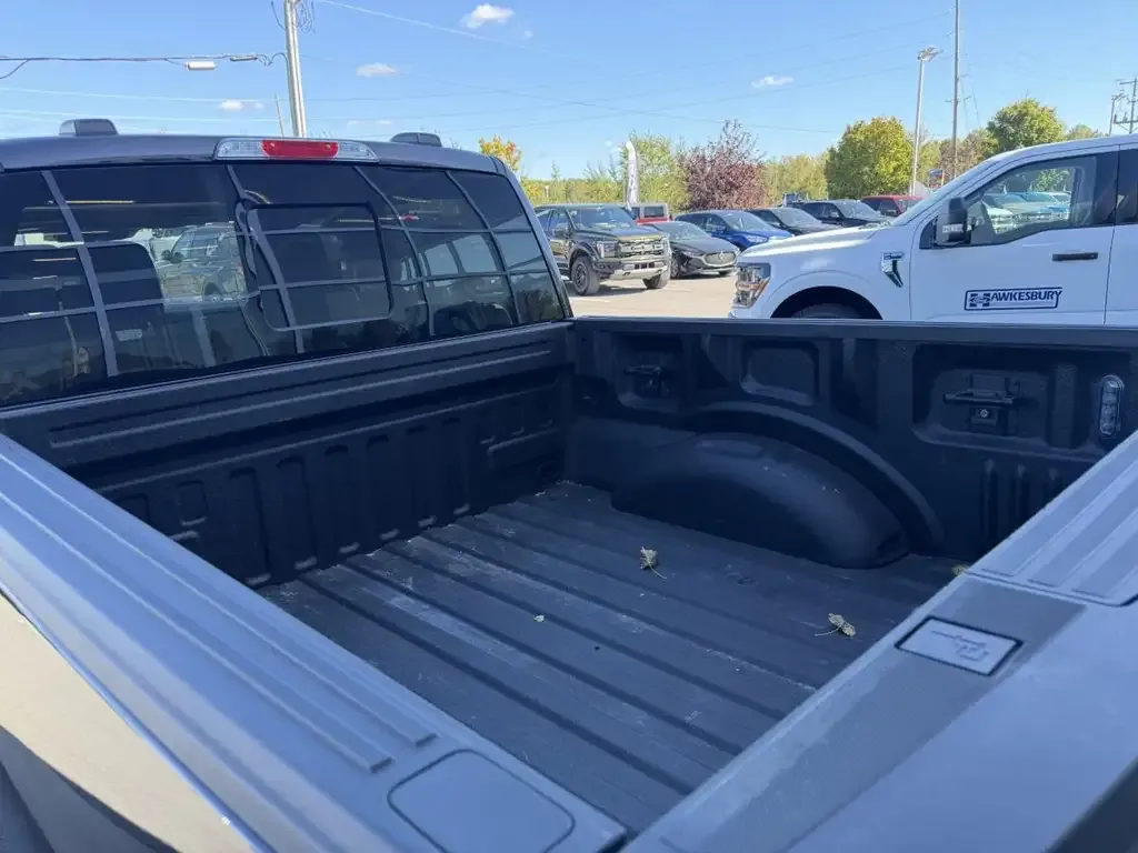Ford F-150 2022 photo 4