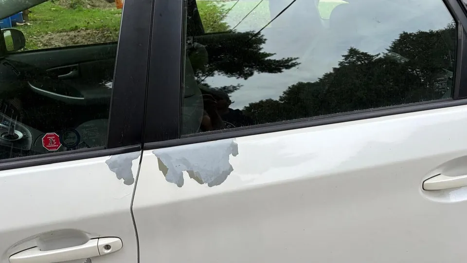 Toyota Prius 2010 photo 5