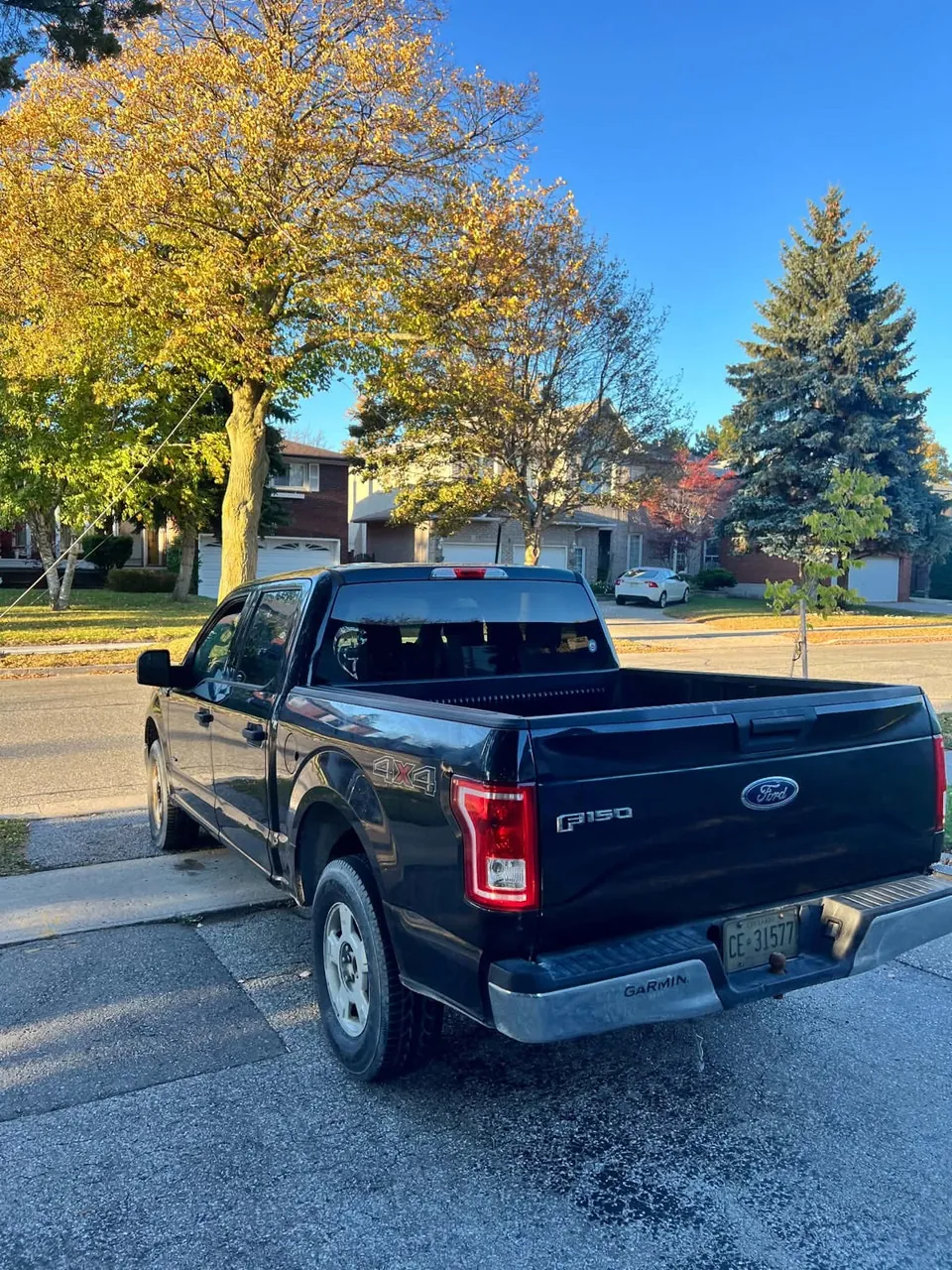 Ford F-150 2015 photo 4