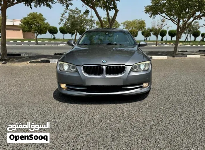 BMW 3 Series 2011 photo 2