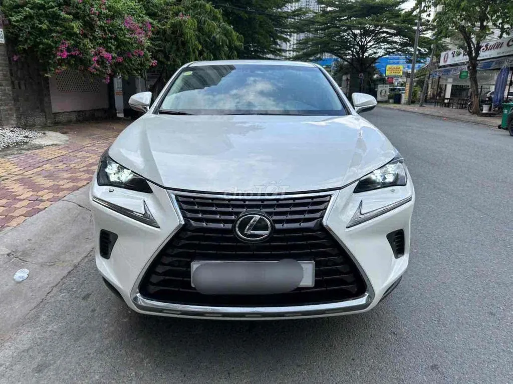 Lexus Nx300