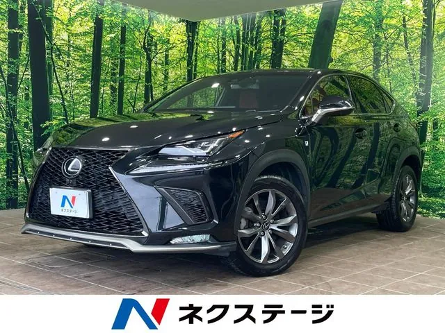 Lexus Nx 300