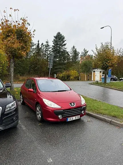 Peugeot 307 2007 photo 2
