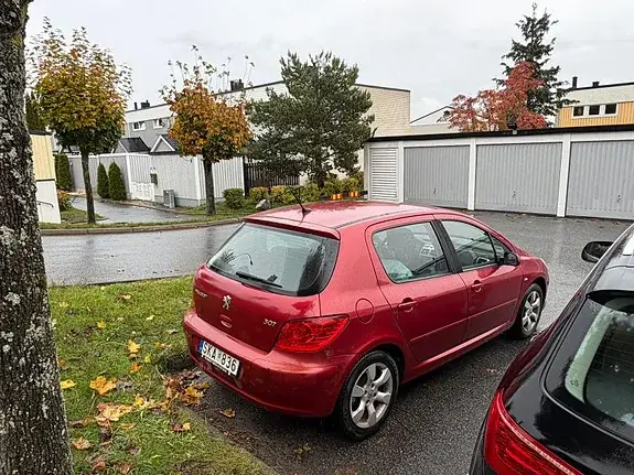 Peugeot 307 2007 photo 3