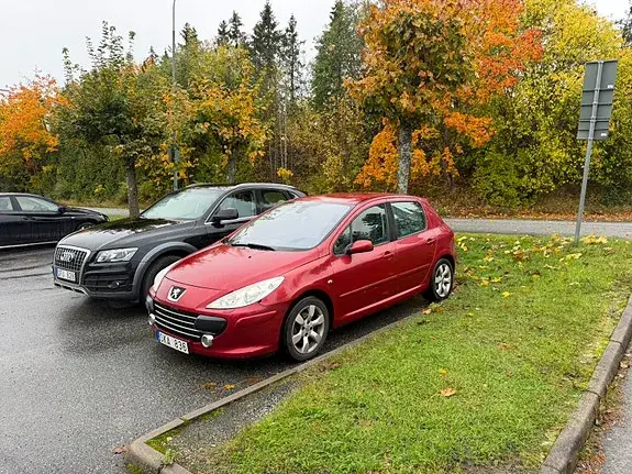 Peugeot 307