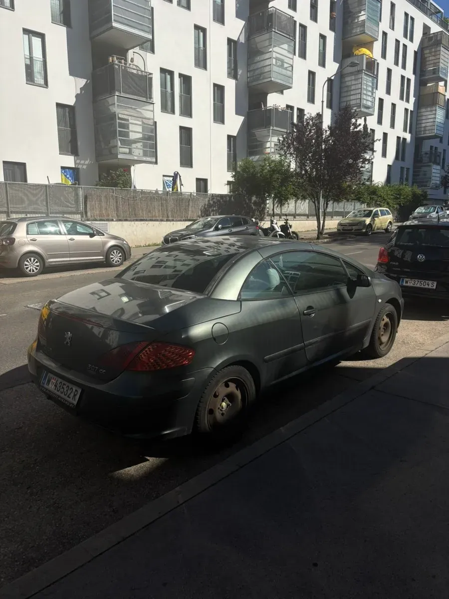 Peugeot 307 2003 photo 3