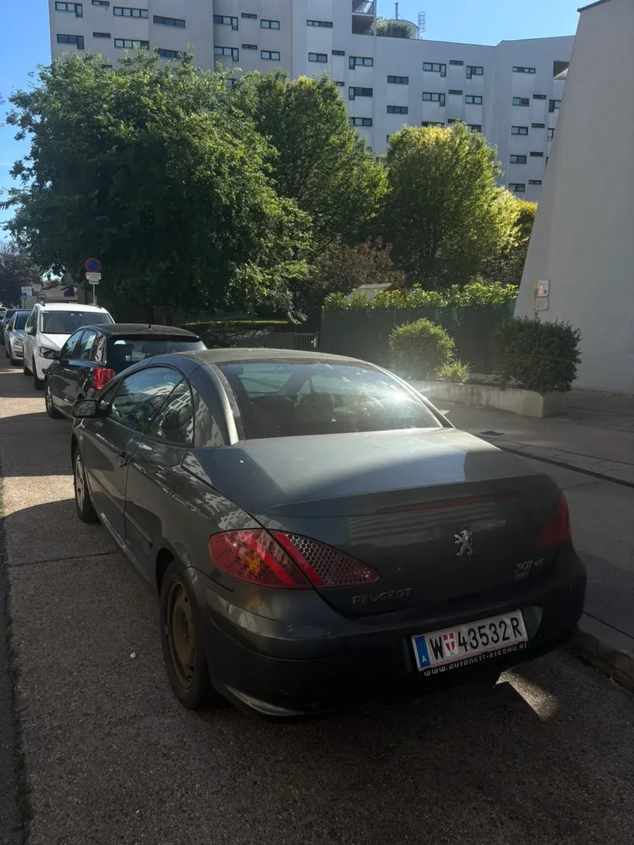 Peugeot 307 2003 photo 2