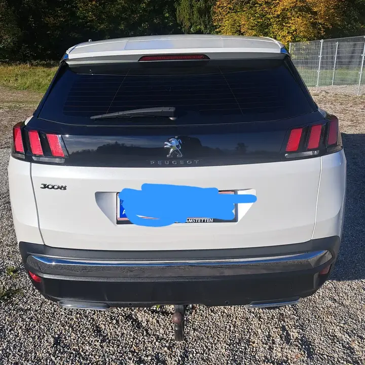 Peugeot 3008 2019 photo 3