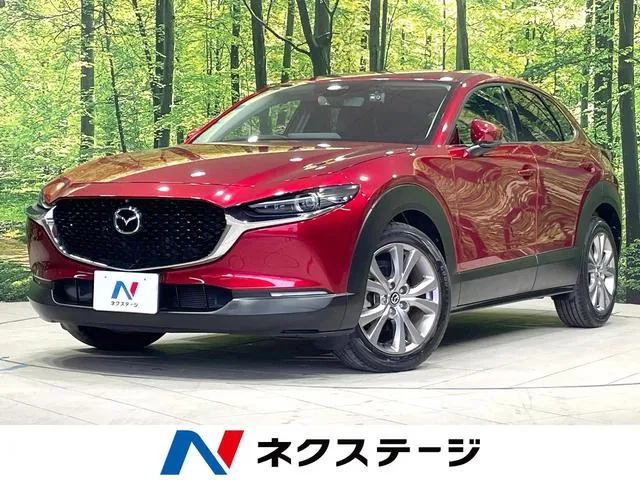 Mitsubishi Cx-30