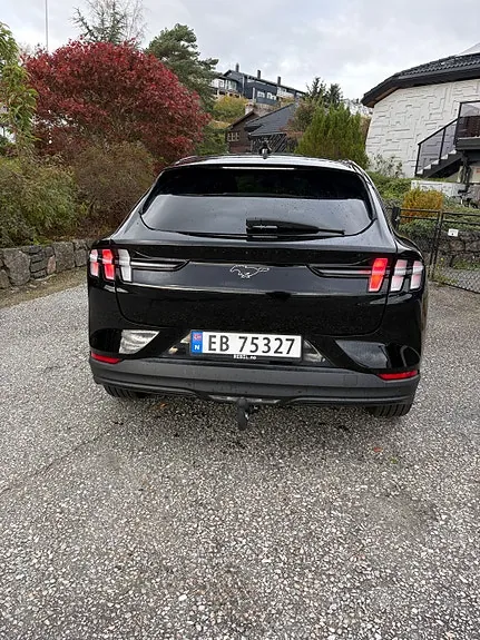Ford Mustang Mach-E 2021 photo 5