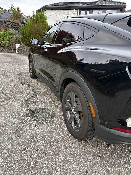 Ford Mustang Mach-E 2021 photo 3
